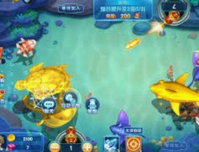 开云足球2024最新版