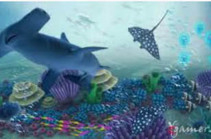 开云足球桌面版客户端